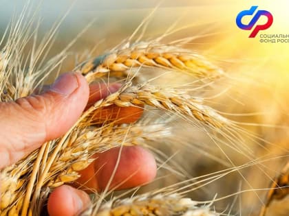 Более 24 тысяч волгоградцев получают повышенную пенсию  за работу в сельском хозяйстве