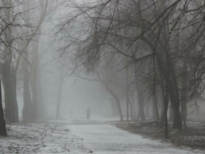 В первый день февраля в Волгограде пасмурно