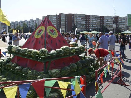 Зачем камышинские арбузы срочно «выезжают» в Калужскую область