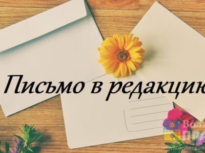 Нам пишут: волжане обсуждают рухнувший вяз, ДНД и бескультурных маршрутчиков