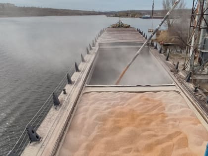 В 52 страны мира экспортируют продукцию агропрома из Волгоградской области