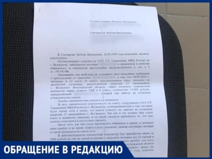 «Меня обвиняют в преступлении, которое я не совершала», - волжанка