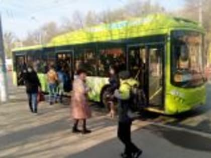 Более 850 тысяч человек перевезли дачные автобусы в 2023 году