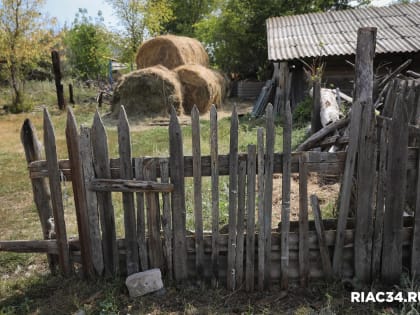 В Волгоградской области завершена заготовка кормов на зимовку
