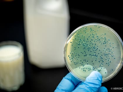 Меры по профилактике бруцеллеза