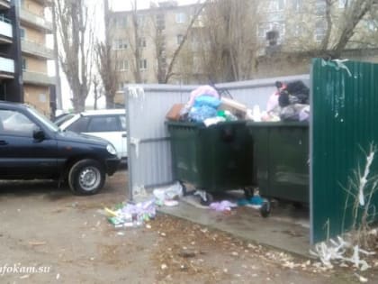 ОНФ: власти Камышина, отказываются решать проблему мусорки под окнами 14-этажного дома