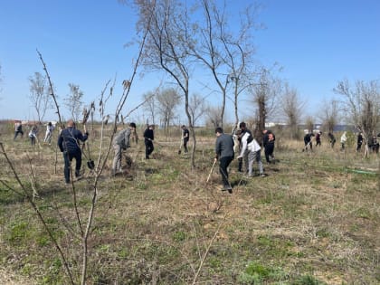 В СКВЕРЕ ИМЕНИ АЛЕВТИНЫ ВИКТОРОВНЫ АПАРИНОЙ ДЕПУТАТЫ ФРАКЦИИ КПРФ ПРОВЕЛИ СУББОТНИК