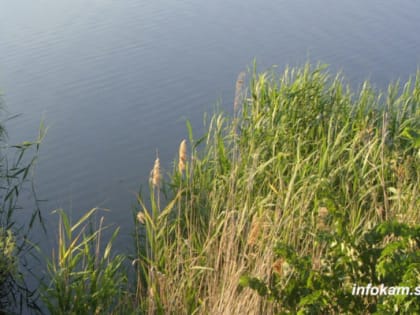 Волго-Ахтубинскую пойму намерены насытить водой
