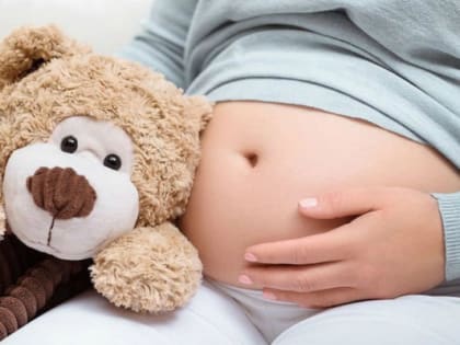 Вячеслава Володина возмутили российские женщины, рожающие за рубежом «ради гражданства», но российским маткапиталом