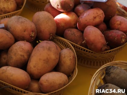 Волгоградские аграрии собрали половину урожая картофеля