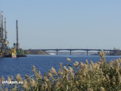 В этом году Камышину исполнится 355 лет