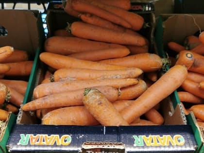 Цены на морковь в Волгоградской области выросли на 15% за неделю