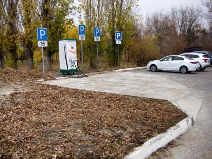 Автомобильное топливо подешевело для камышан, но на копейки