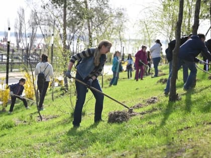 22 апреля во всех районах Волгограда состоится Всероссийский субботник