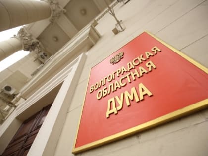 Депутаты в Волгограде будут представлять обобщенные данные о доходах