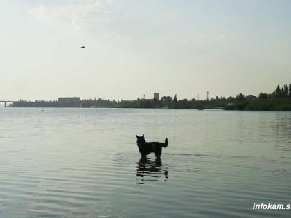 Создание зон отдыха в Камышине