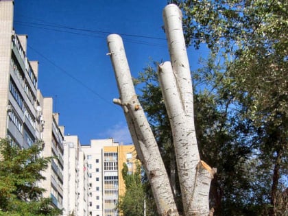 У администрации Камышина из «ТОПовых» направлений финансирования пиар по-прежнему неискореним