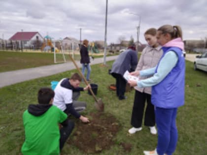 Волонтеры городской среды совместно со студентами эколого-волонтерского отряда Арчединского колледжа, высадили саженцы на общественном пространстве по ул.Куприна.