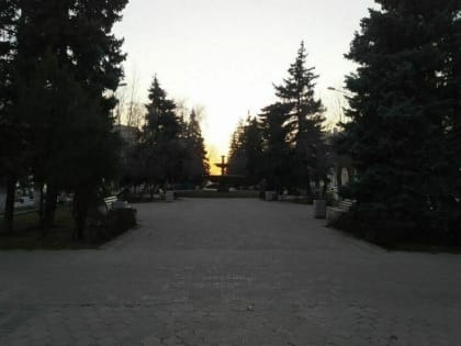 Общественных слушаний не было: в мэрии Волжского объяснили вырубку деревьев