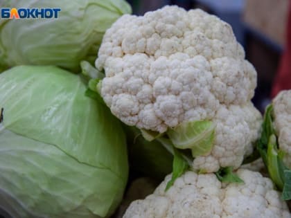 В Волжском дорожают детское питание и овощи: статистика цен