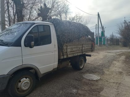 Доставлены посылки из Камышинского района