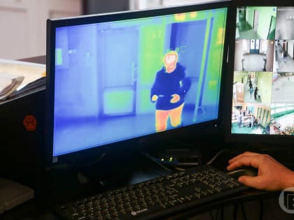 Старшеклассников Волгоградской области зовут на бесплатные курсы программирования
