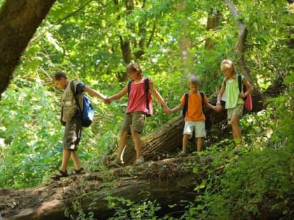 Где искать клеща на теле