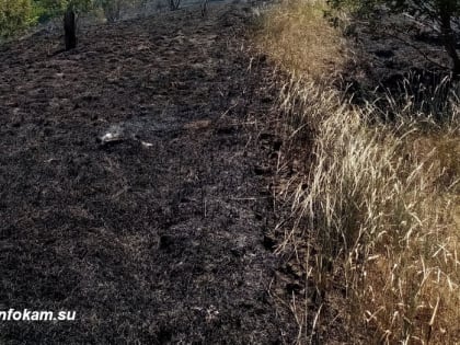 Соседние города на Волге: жизнь николаевцев и камышан