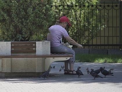 Волгоградцам предлагают подработку от 15 до 70 тысяч рублей