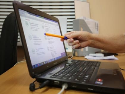 В Волгоградской области число самозанятых за год увеличилось в 1,7 раза