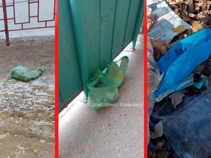 Камышане жалуются на то, что нерадивые жители и сильный ветер превратили город в свалку пакетов