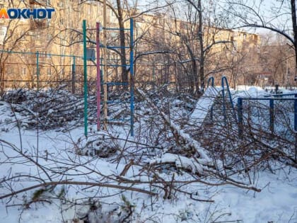 7 миллионов Волжский потратит на очистку дворов от веток и других отходов