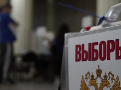 Главами двух поселений в Волгоградской области на местных выборах стали единороссы