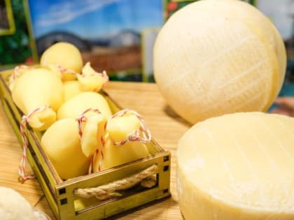 Волгоградцам перечислили 5 продуктов-чемпионов по содержанию кальция