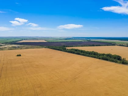 АПК Волгоградской области получит из федерального бюджета 3,4 млрд рублей