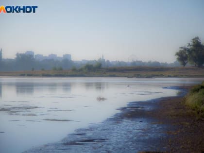 Подрядчика на расчистку Ахтубы выбрали в Волжском