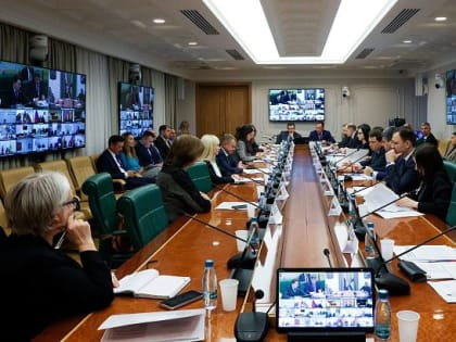Онлайн-заседание Совета Федерации: важные вопросы бюджета и финансов