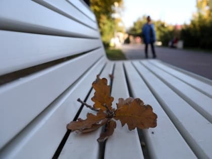 Выходные в Волгоградской области будут теплыми и солнечными