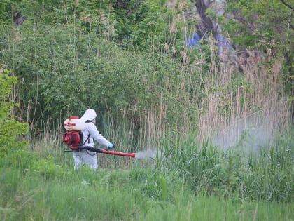 Волгоградцев предупреждают об угрозе лихорадки Западного Нила