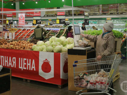 За неделю в Волгограде подешевели огурцы и картофель, но подорожали свекла и лук