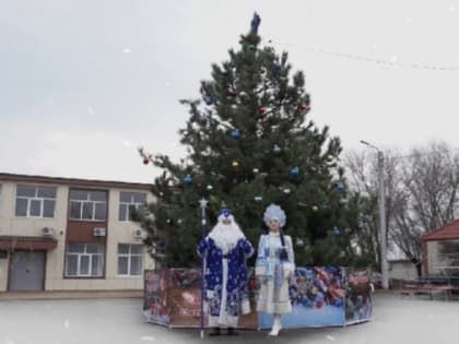 Главная ёлка района открыта