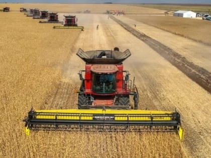 Волгоградская область поднялась в экономическом рейтинге регионов