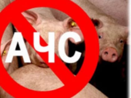 МЕРОПРИЯТИЯ ПО ПРЕДУПРЕЖДЕНИЮ ЗАНОСА ВОЗБУДИТЕЛЯ АФРИКАНСКОЙ ЧУМЫ СВИНЕЙ