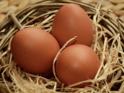 В Волгоградской области подорожали молочные продукты и яйца