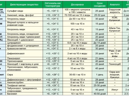 Важно! Фунгициды в помощь садоводу и огороднику