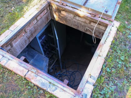 В Волгограде активизируются переносчики смертельной лихорадки