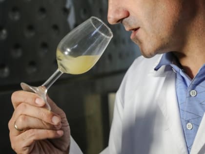 Волгоградский врач рассказала о последствиях полного отказа от алкоголя