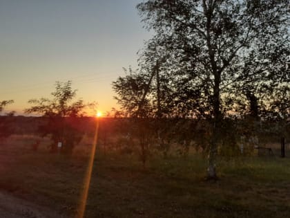 Что? Опять заморозки?