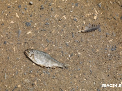 Жителям Волгоградской области напомнили об опасности ботулизма