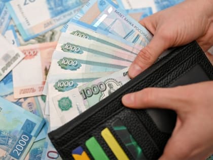 Волгоградцы пополнили бюджет страны в 2022 году на 5 миллиардов